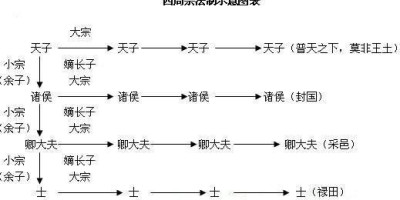 古代嫡长子继承制导致了许多弟杀兄的悲剧，可以改为唯才是举吗