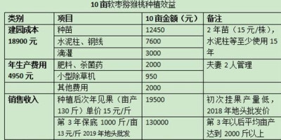 北方农村土地种植什么好，年年种植?，根本不挣钱