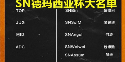 SN战队公布德玛西亚杯名单，野王Sofm加盟，JKL并不在其中，阿水会去RNG吗你怎么看