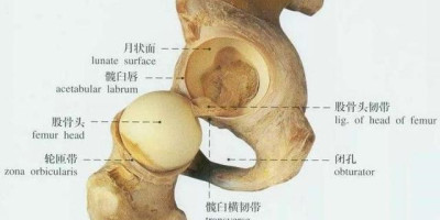 疫情期间在家如何锻炼身体