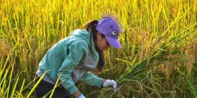 可耕种土地越来越少,新型农民必须要科学种植吗