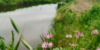 乡下长大的伙伴们，还记得你小时候玩过什么有意思的，城里没有的玩意儿吗