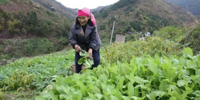 社会底层人的钱不好挣