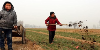 有农民愿意子女继续当农民的吗农民怎么看待自己的社会地位