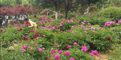 30岁剩女无房无存款怎么办