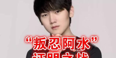 2018总决赛ig阿水开团(ig叛忍阿水图片)