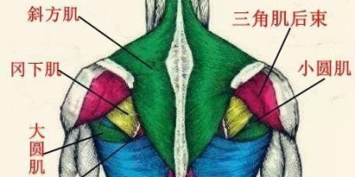 健身房如何练肩背