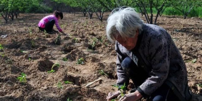眼中的母亲节和现实中的母亲节