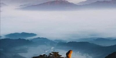 中国历史上有哪些有名的奸臣,中国历史上的奸臣有哪些