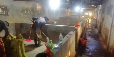 不想打工了现在养殖什么比较吃香
