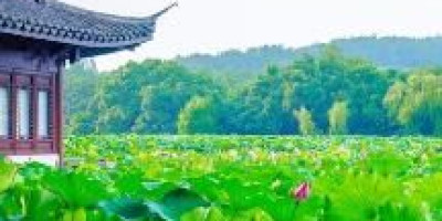 能否点评一下肖战的身材呢,肖战身材比例是什么段位