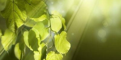 为什么现在好多年轻人，存款连一万块钱都没有，却觉得几十万是个小钱呢