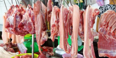 猪肉什么时候才能回到十元一斤,猪肉年底会达到20元一斤吗