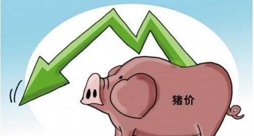 近日生猪价格持续下跌,5 月的猪价还有望上涨吗? 该看看图 6