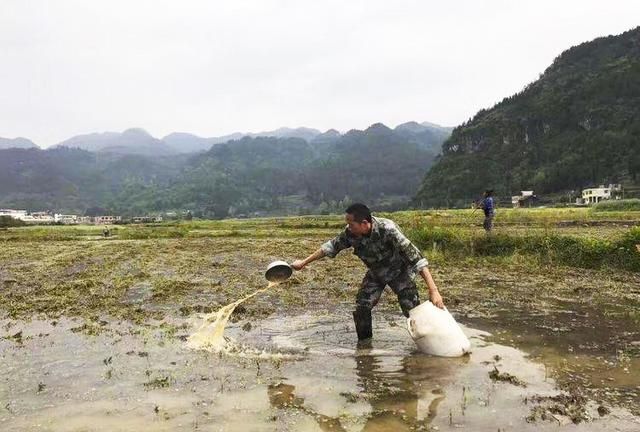 让你放弃现在的工作到大山过着鸟语花香的生活，你愿意吗图 3