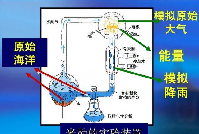 地球为什么选择了人类? 是必然还是偶然的图 12