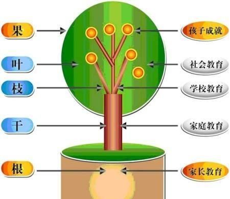 家长到底该不该辅导孩子做作业图2