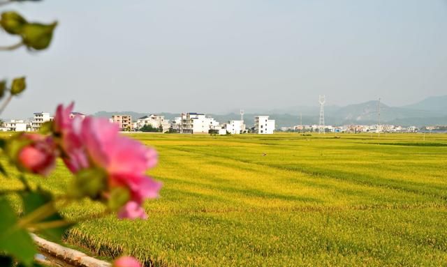 你最喜欢哪个季节?图7