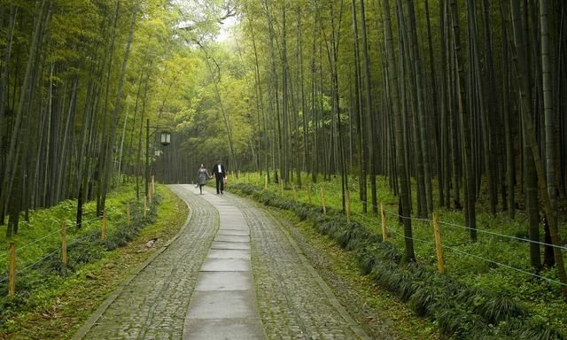 杭州是发达城市吗图2