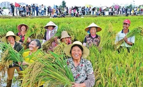 如果农民不种地了，谁来养活我们，农民是我们的衣食父母对吗图2