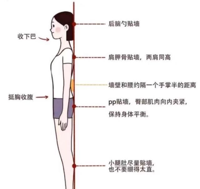 女人四十岁以后还可以锻炼出优美的体型吗知乎图5