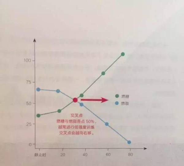 健身后吃一些食品, 对减肥有帮助吗对吗图 1