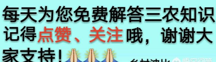 有些农村不让烧煤, 那么用什么方式可代替烧煤取暖呢图 4