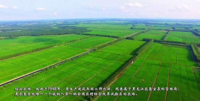 中国农村农民农业的出路何在?现代化农业何时能实现呢图6
