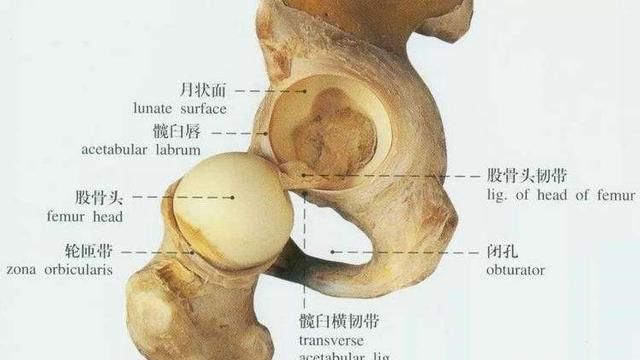 疫情期间在家如何锻炼身体图 1