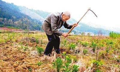 从农村出来的人还愿意回去种地吗图1