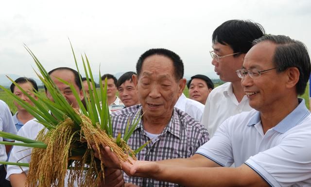 可耕种土地越来越少,新型农民必须要科学种植吗图2