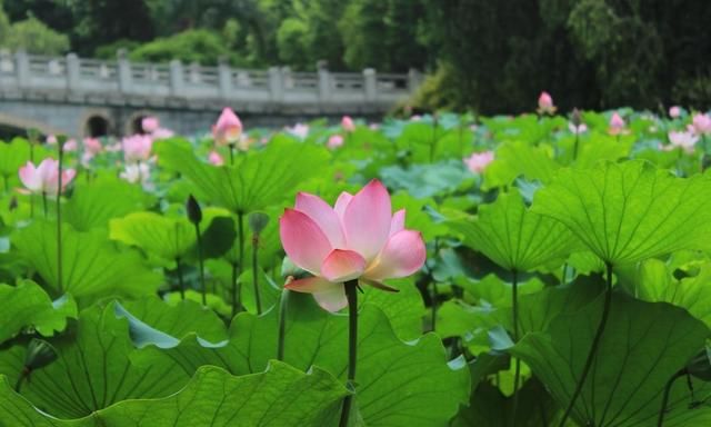 不懂摄影，初学时需不需要练或陪练能否给个学拍照的详细建议图 10