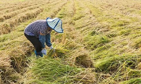 什么原因造成农村的人越来越少了图2