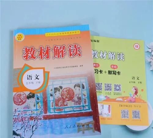 小学5年级的语文如何辅导​​​图1