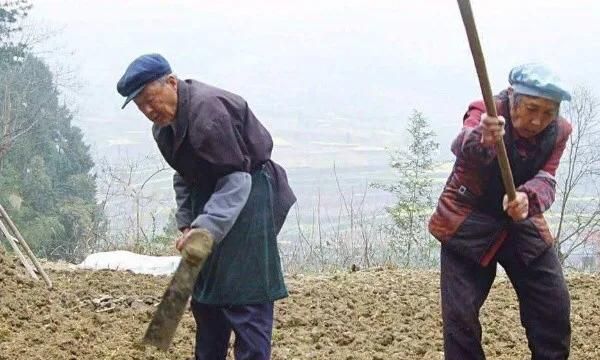 为什么许多农村老人都热爱劳动呢