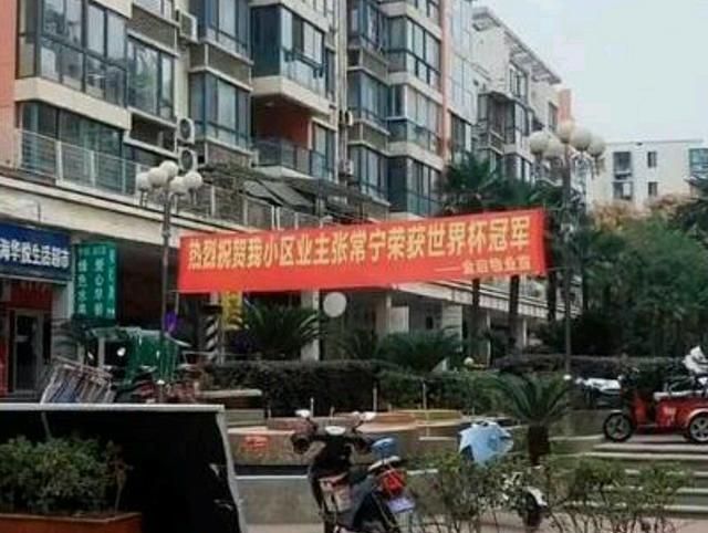 为什么说不要在张常宁骨头上挑刺，她已经很棒了图 14