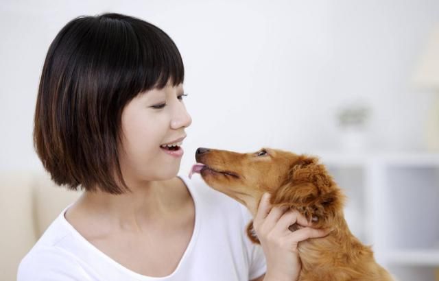 养狗之后, 有哪些瞬间会让你很感动的图 6