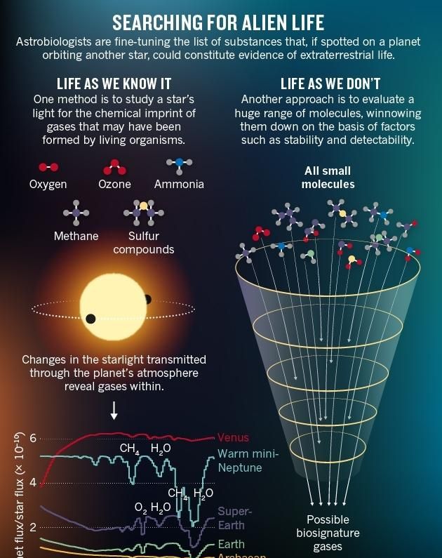 如果真的存在外星文明，他们有可能发展出和地球人类完全不同的科学体系吗图 1