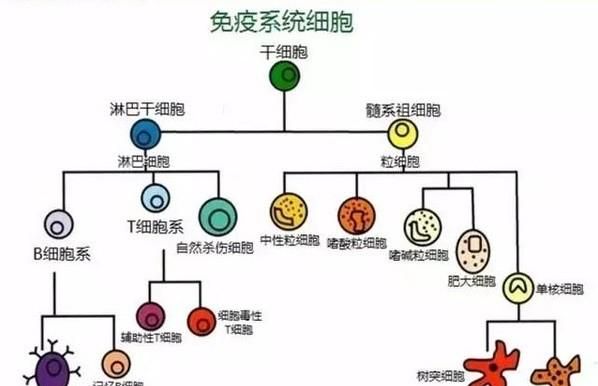 如果新冠状病毒爆发是在一百年前人类是不是就要灭绝了图 5