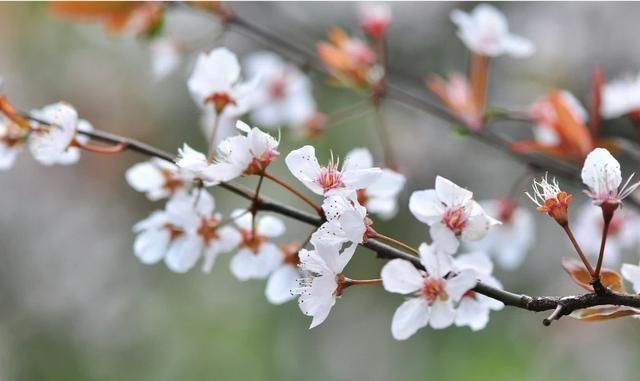 夏天是一个很热的季节图 1