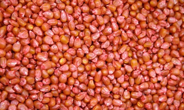 玉米价格和豆粕价格最新报价,豆粕和玉米价格上涨图1