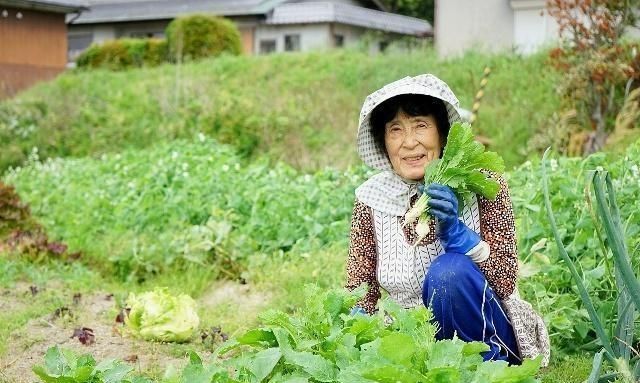 农村空心村未来走向,空心村何去何从图5