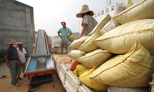 保护耕地保护粮食安全,守住基本农田红线确保粮食安全图3