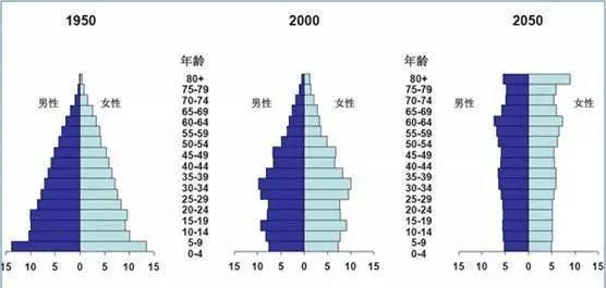 50 后 60 后 70 后 80 后 90 后 00 后人口图 3