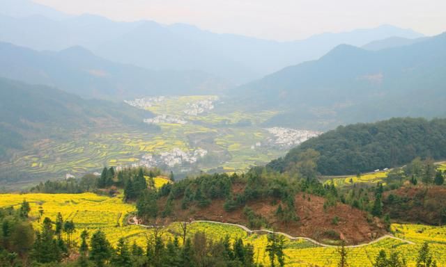 什么样的农村生活是你最向往的, 向往城市的繁华却偏向农村的安逸图 4